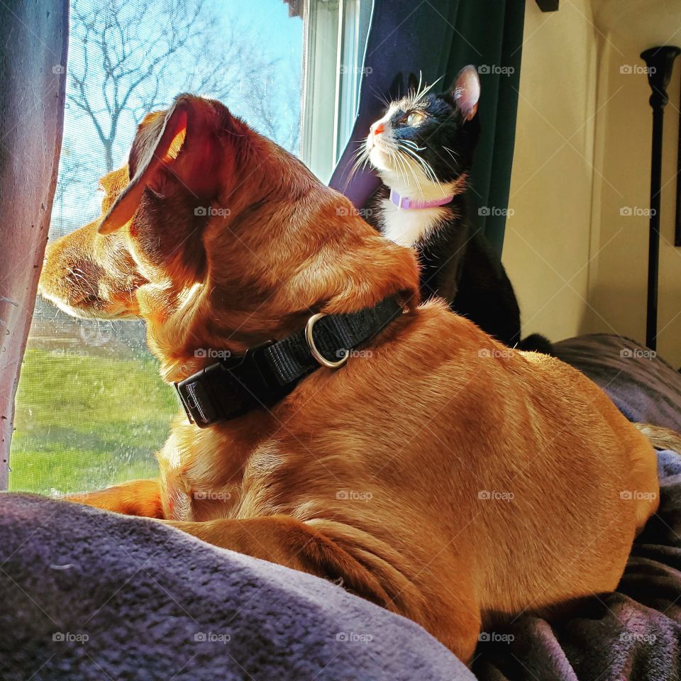 watching the world go by