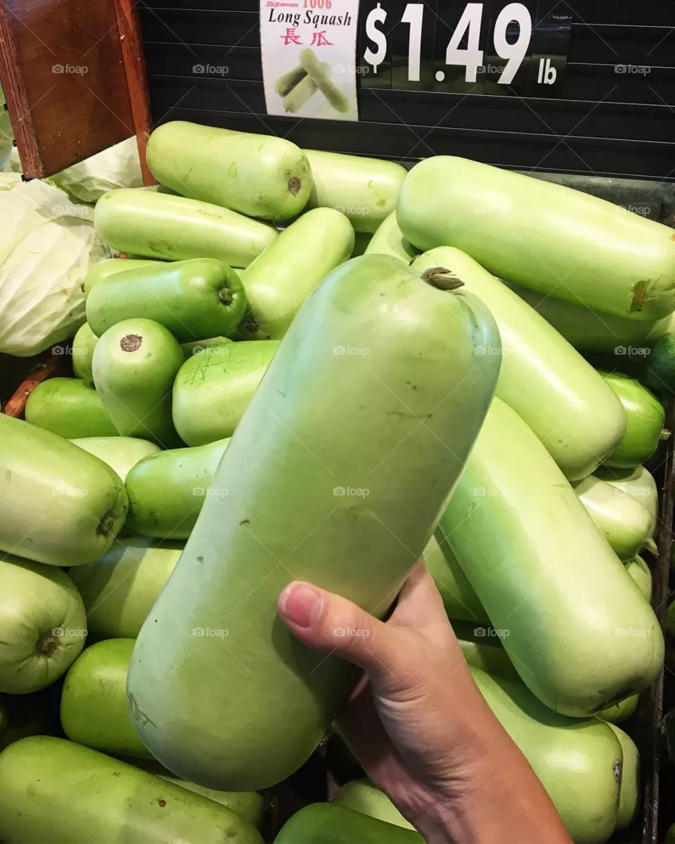 Opo Squash