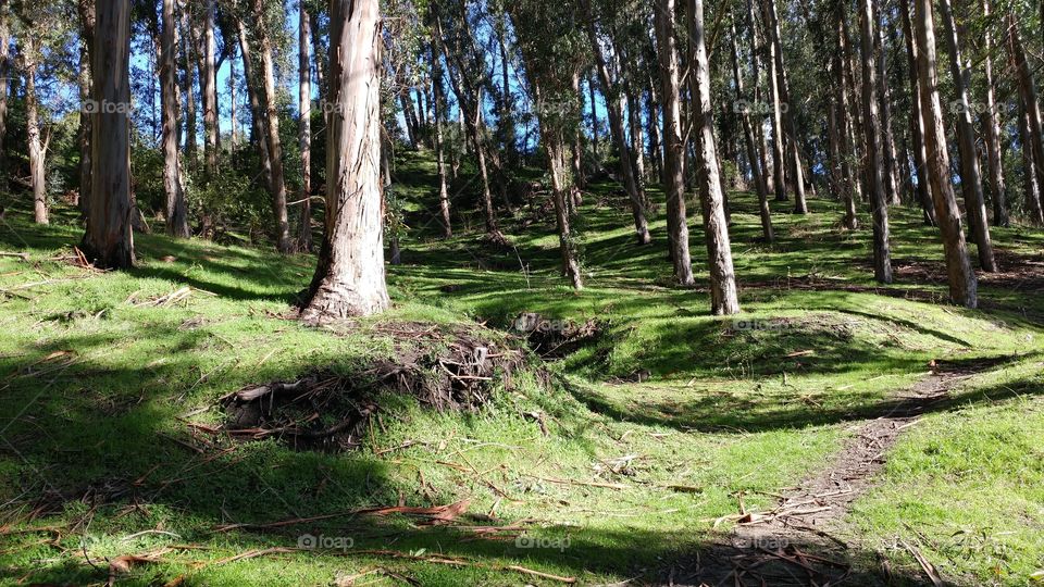 hiking in wildcat park