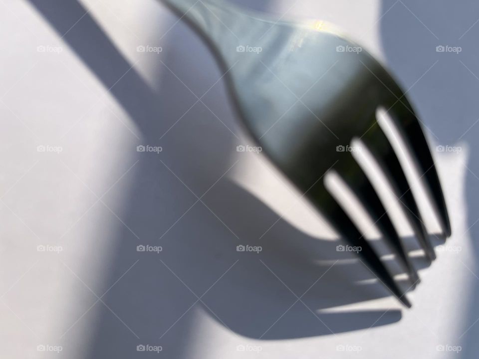 Not Ordinarily : Fork.