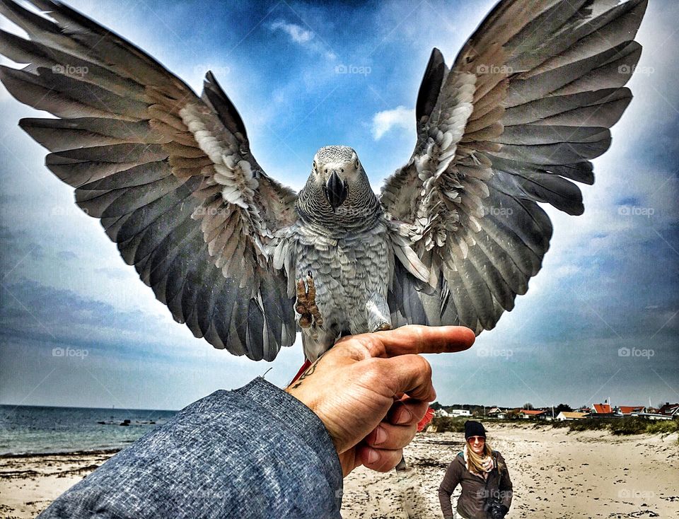 Free flying at the beach