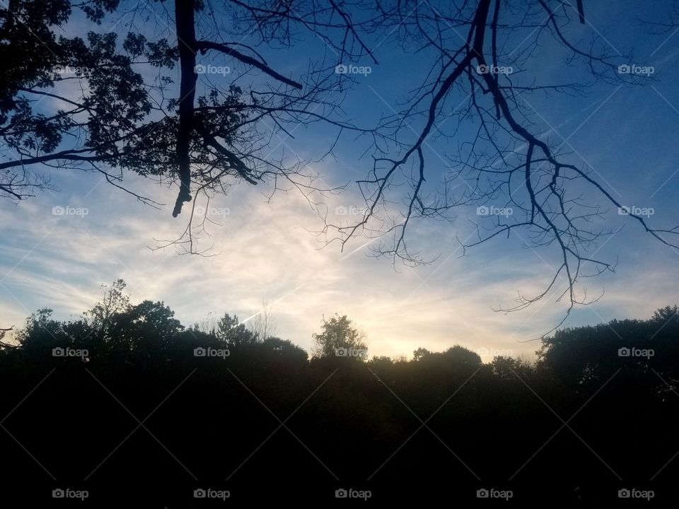 Landscape, Tree, Sunset, Dawn, Sky