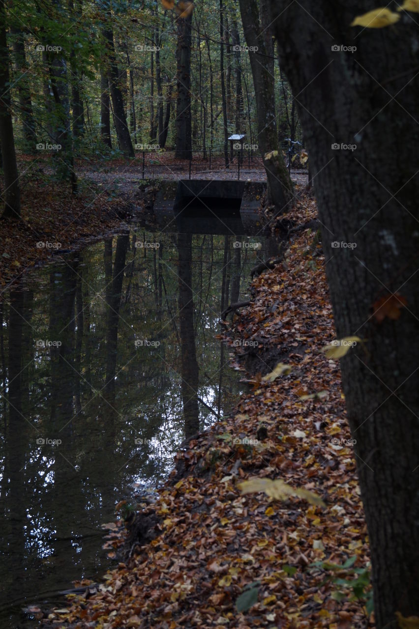 Brücke