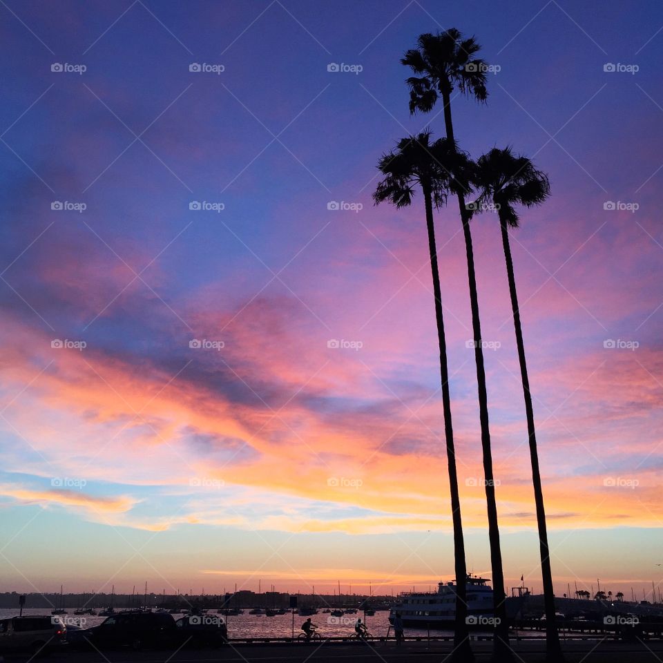 Sunset and Palm Trees