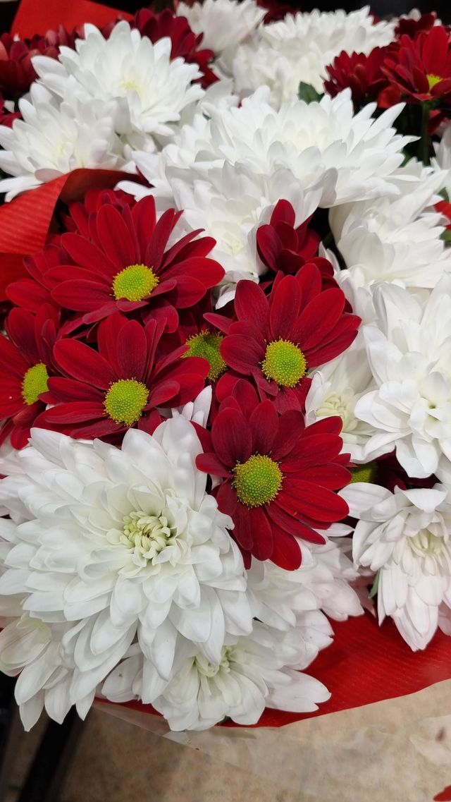 wonderful & beautiful flowers in a vase