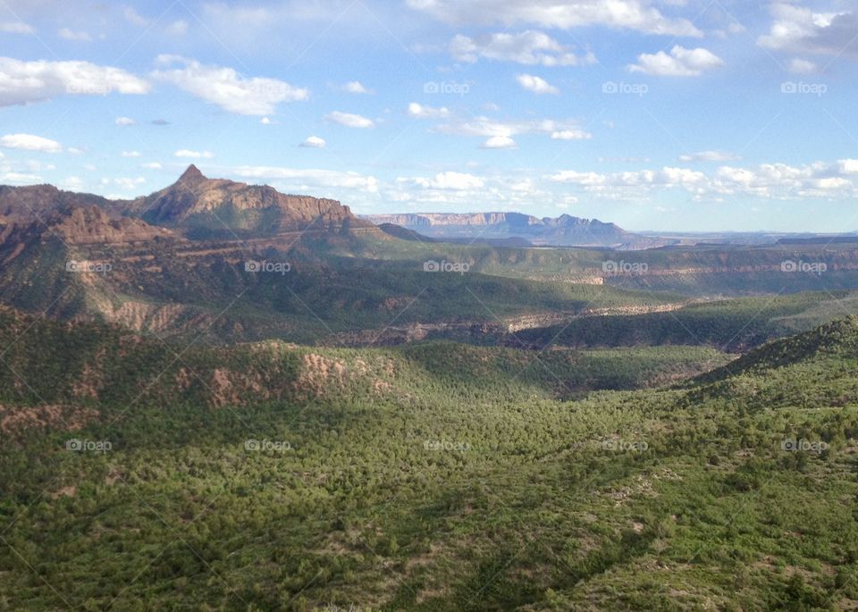 The view from Timber Creek Trail