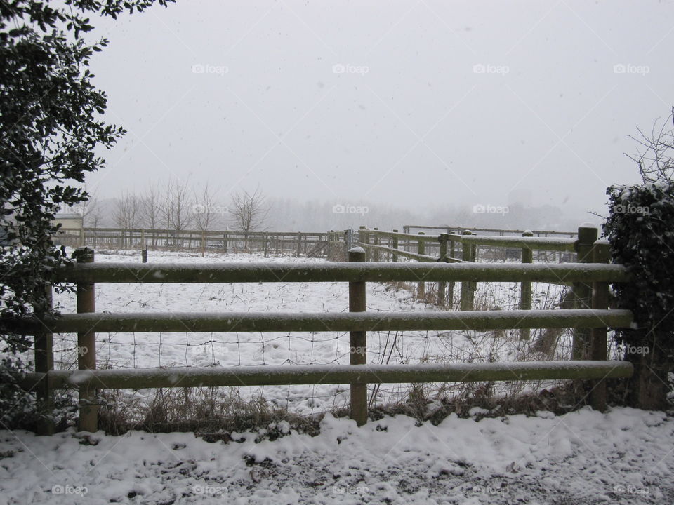 Snowy Fence