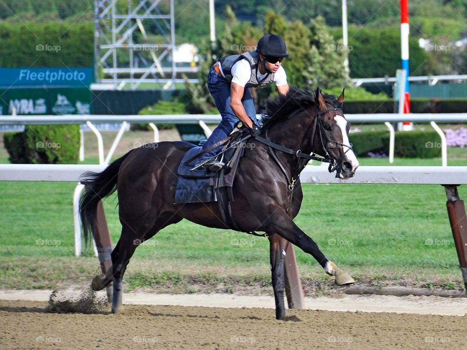 Belmont Park Workouts. Horse racing gifts available at:

Zazzle.com/Fleetphoto 