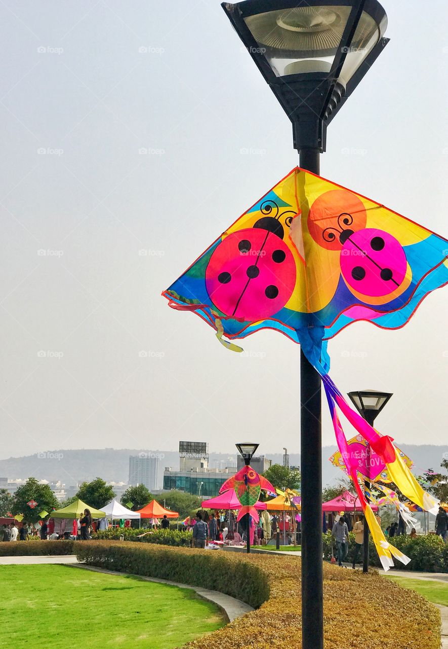 Kite decoration at our office lawn for Makar Sankranti (Harvest) festival concluded in Jan