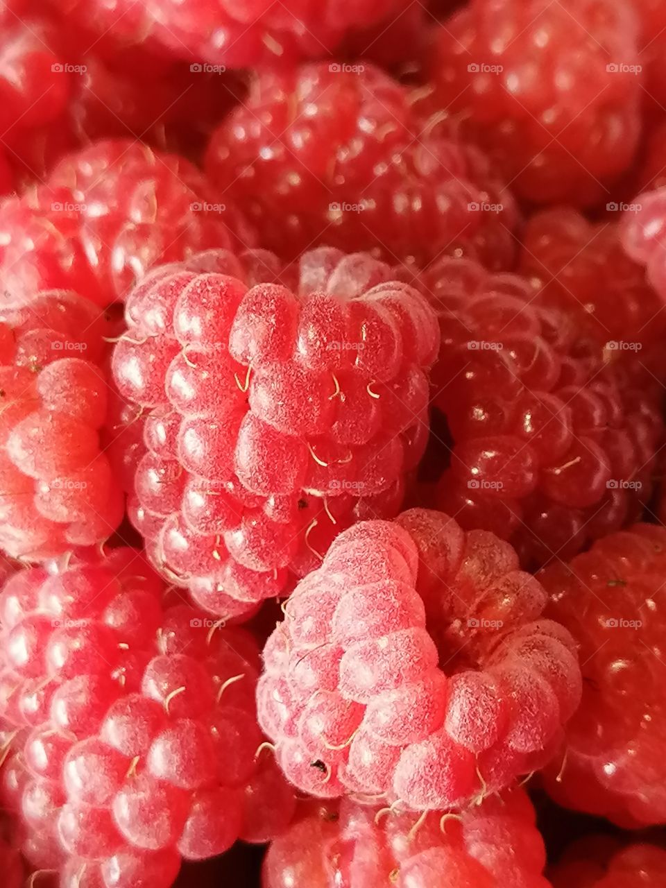 Raspberries