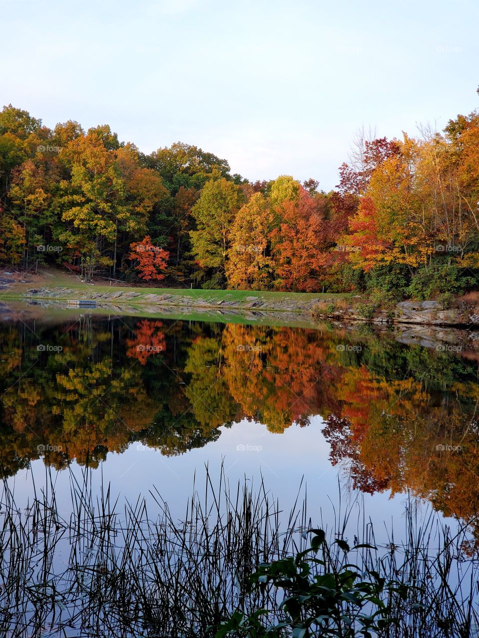 Fall at Boley Lake