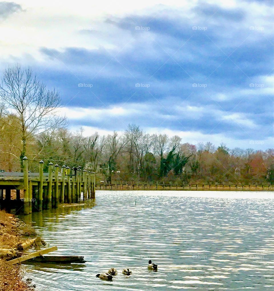 Peaceful Pond