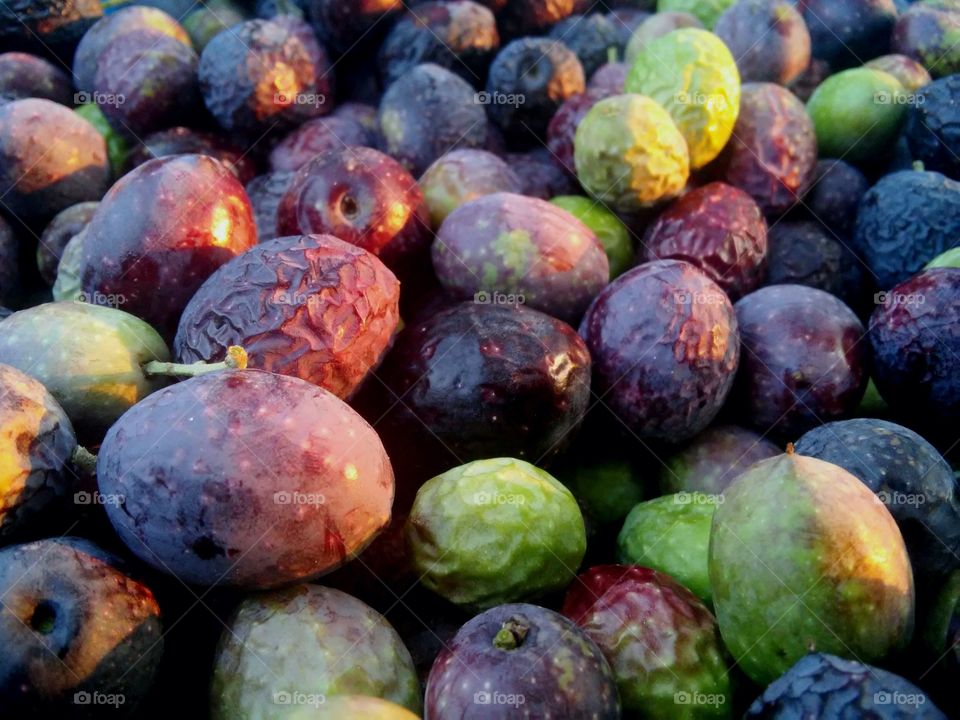 Olives during sunset