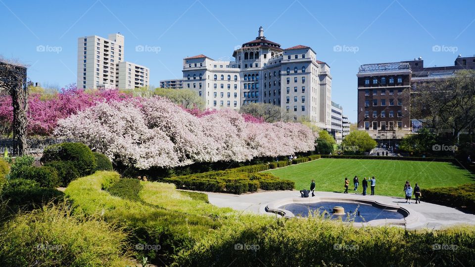 The Conservatory Garden Central Park 