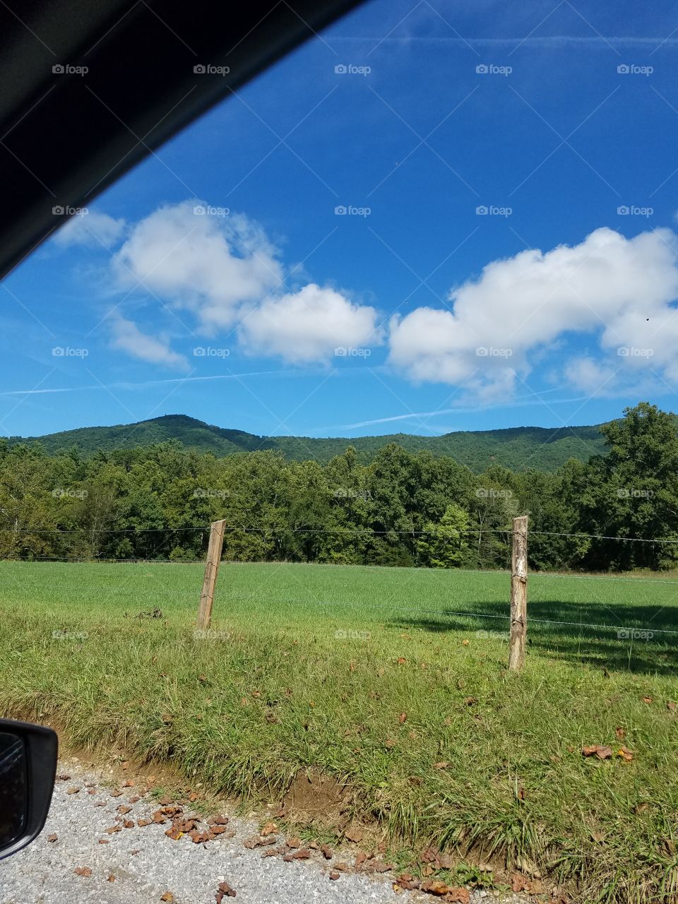 Mountains, trees, green grass, blue sky, clouds, wooden fence posts, beautiful, scenic