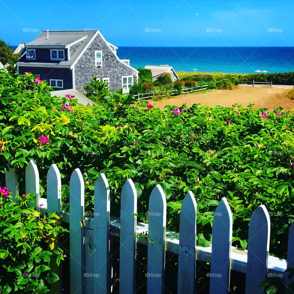 Nantucket, Cape Cod