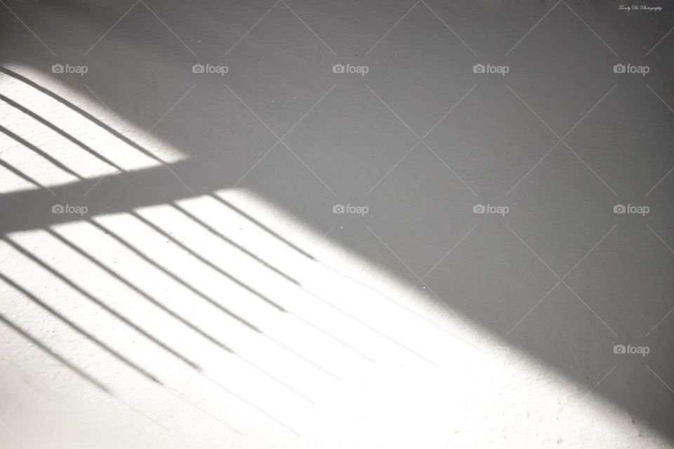 A shadow in the snow