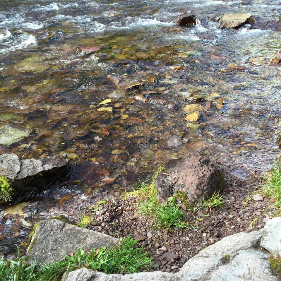 Water, Nature, Rock, Stone, Stream