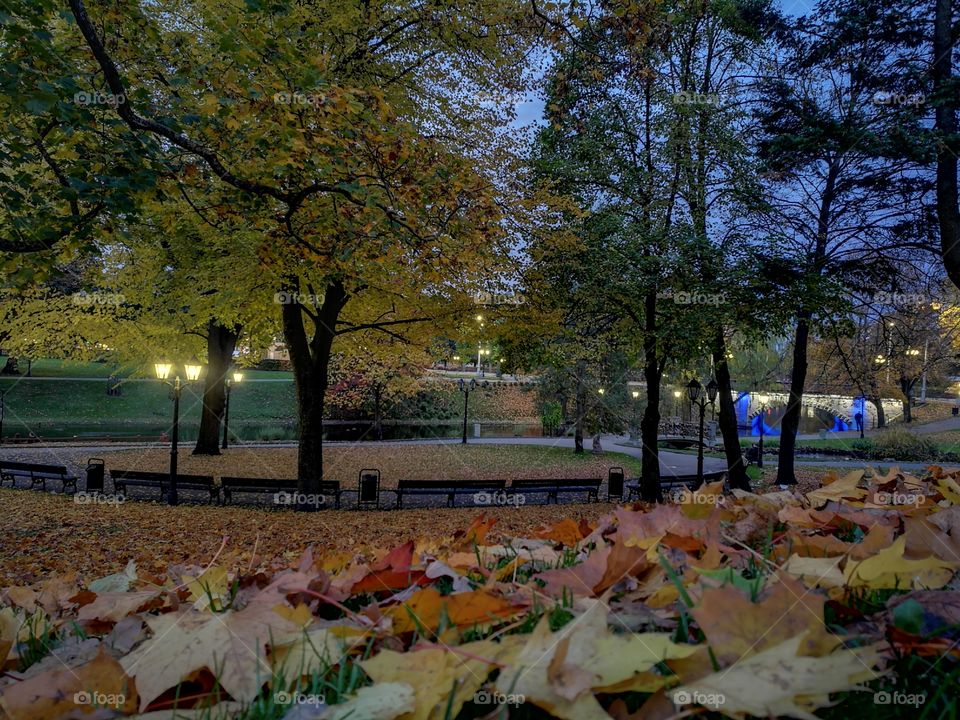 park in autumn