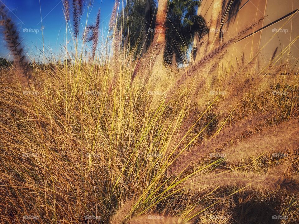 It was a beautiful warm spring day. Sunshine made everything come to life. 