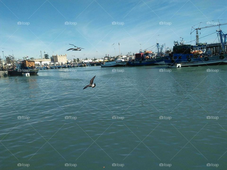 Beautiful view of the harbor.