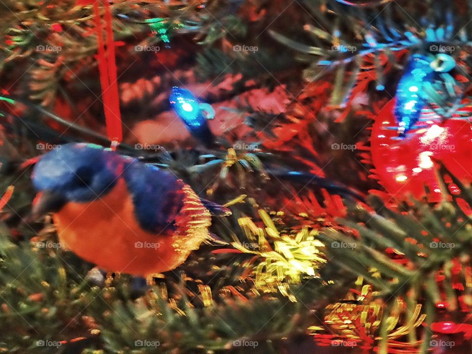 Christmas Bird Ornament
