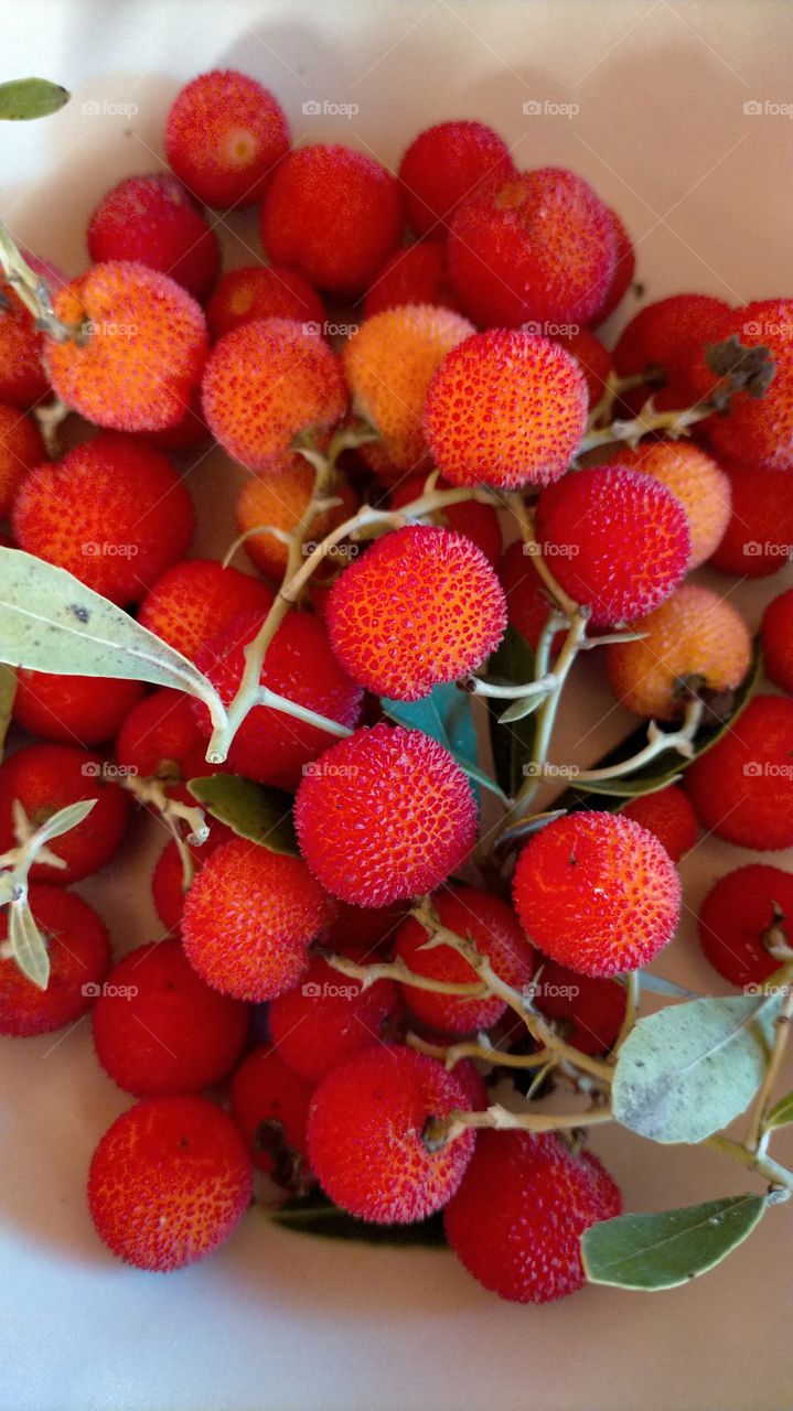 frutos rojos del bosque