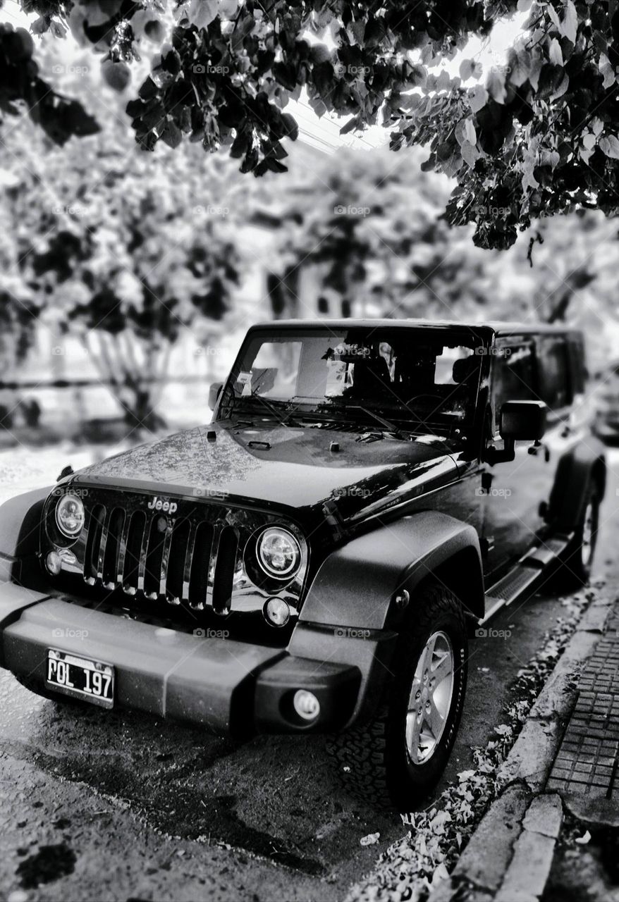 Jeep