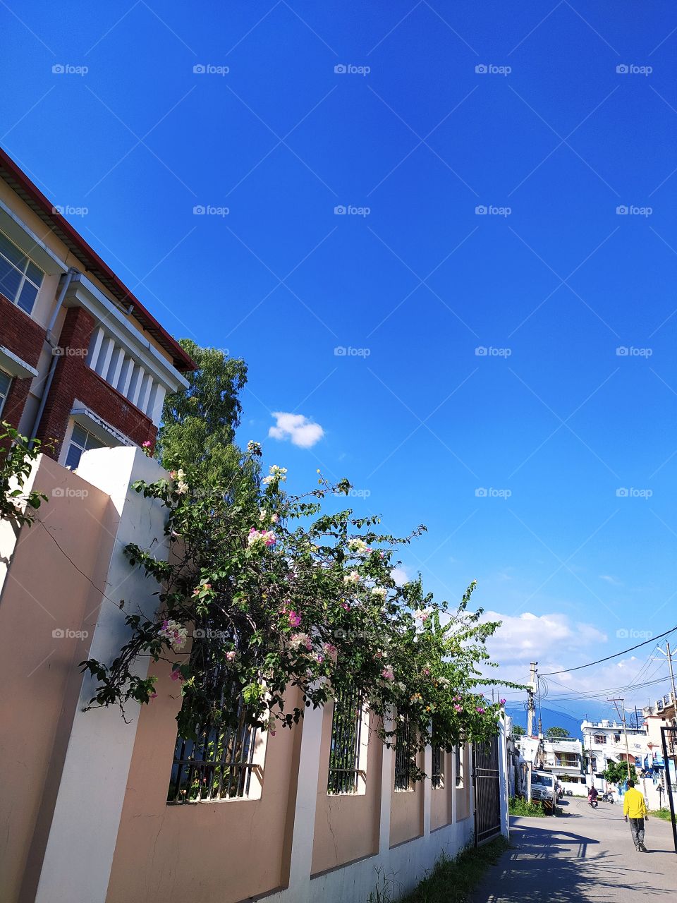 Absolute blue:the sky after departure of monsoon
