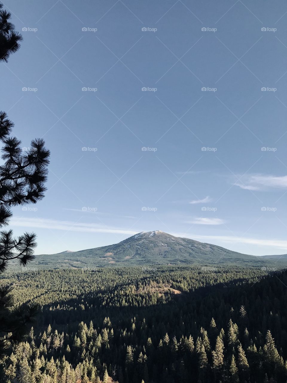 Tree Covered Mountain 