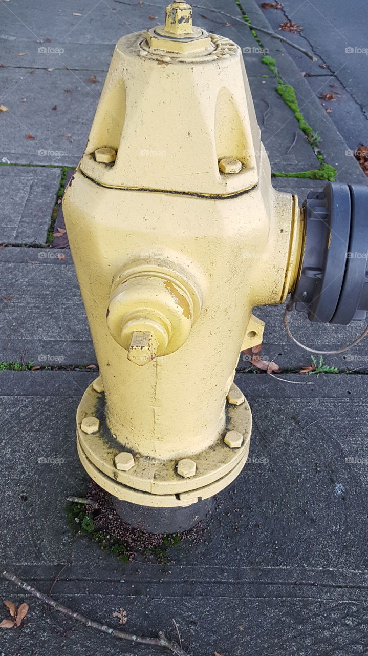 a nice yellow fire hydrant