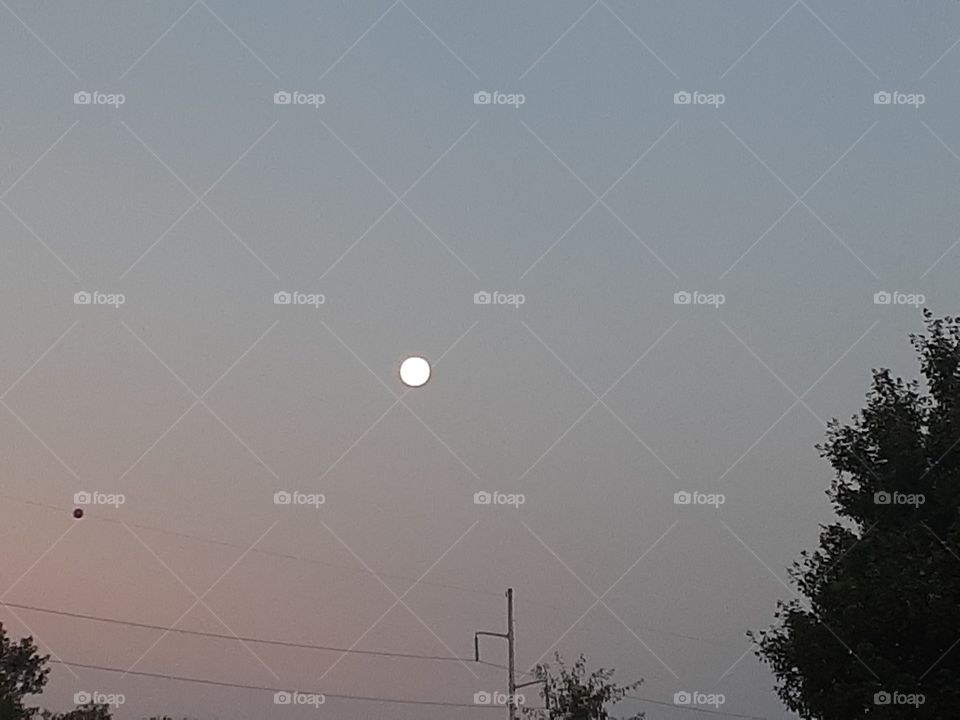 Full Sturgeon Moon