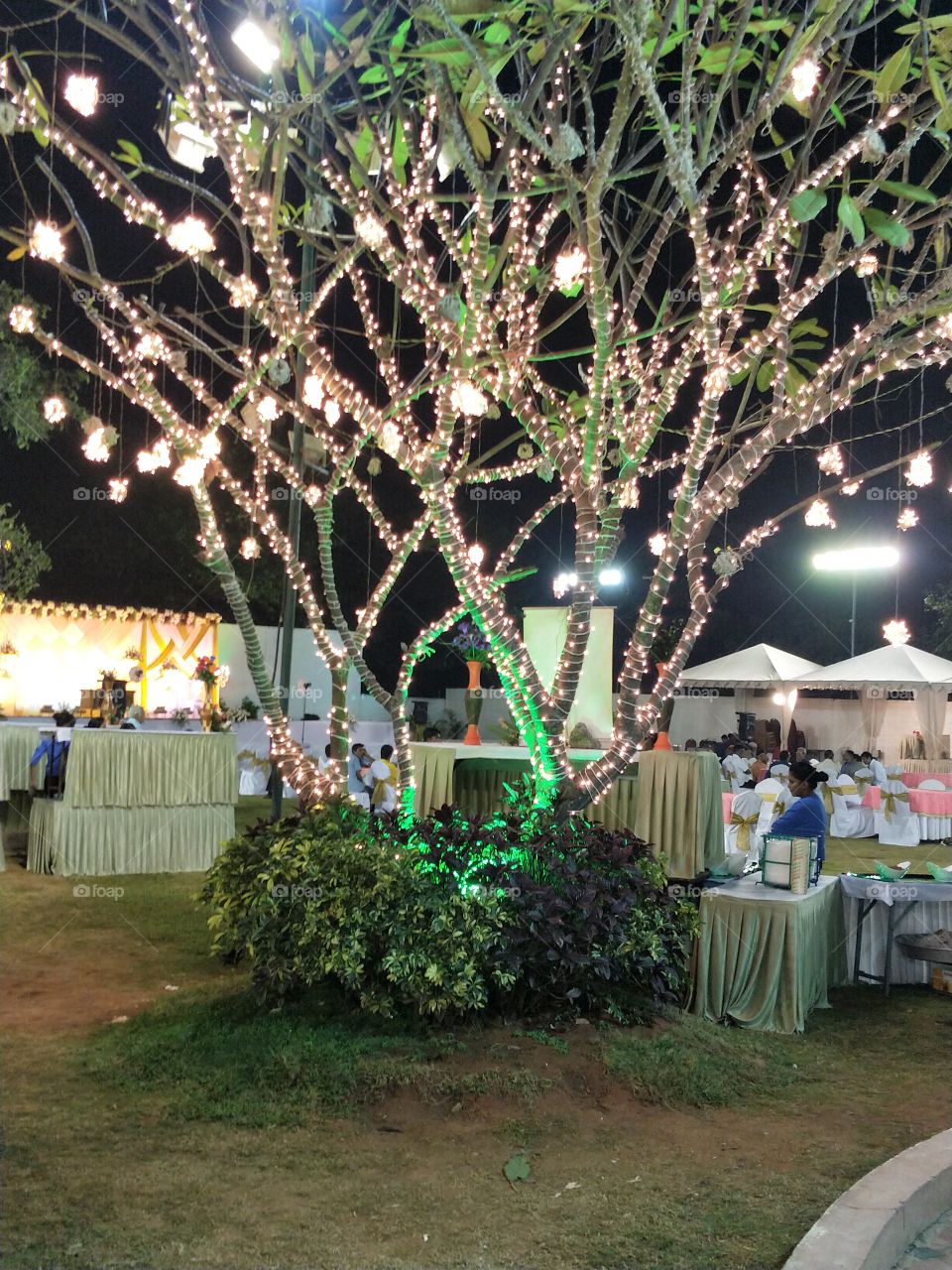 light decoration. party theme. decorate tree.