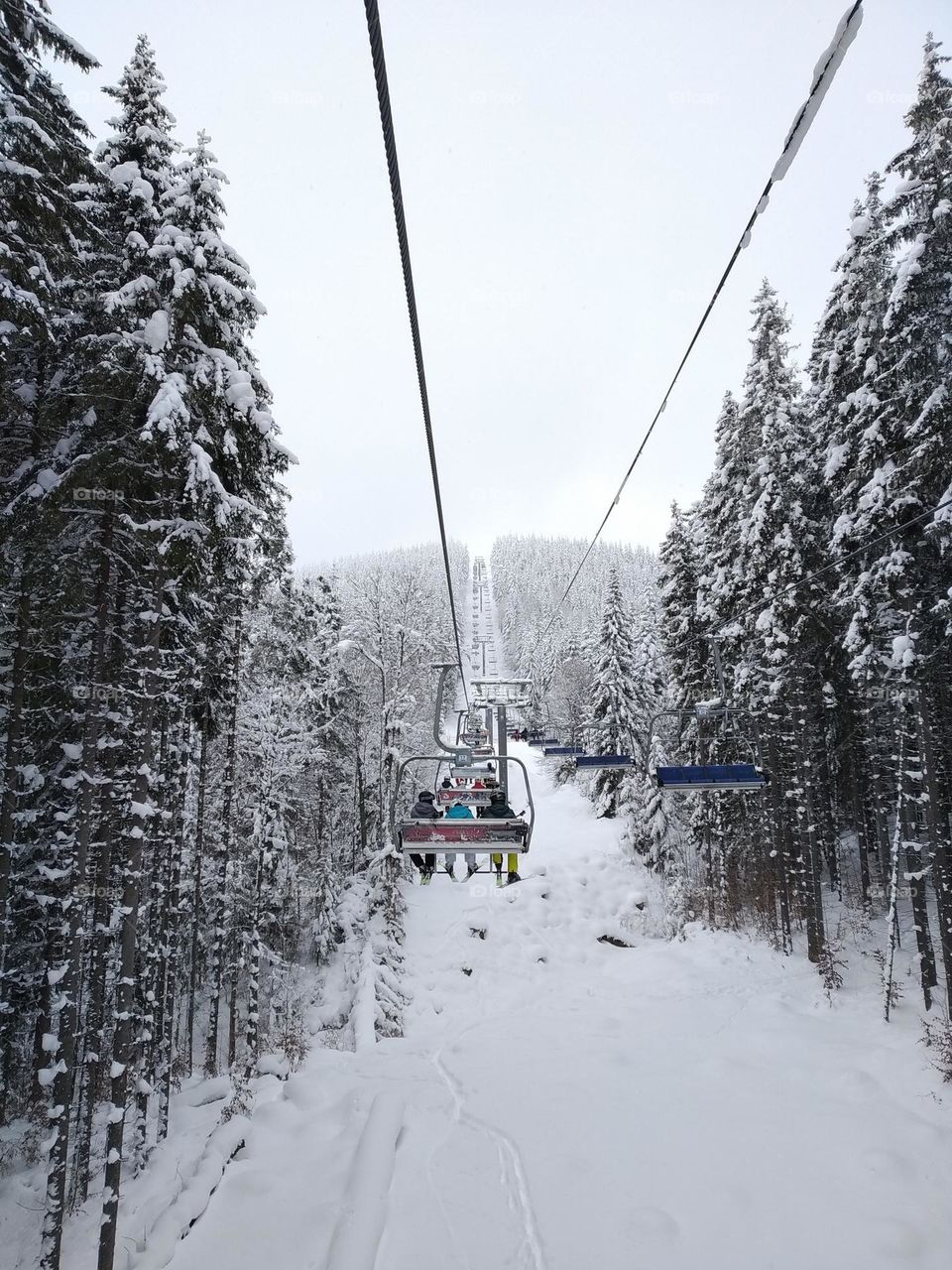 Carpathian mountains Ukraine