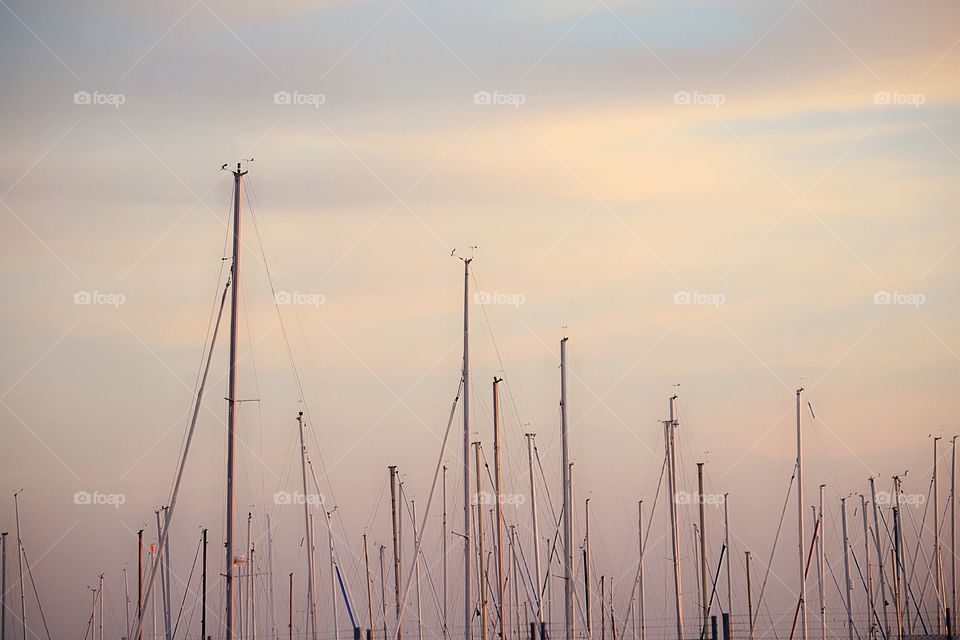 Masts from sailboats
