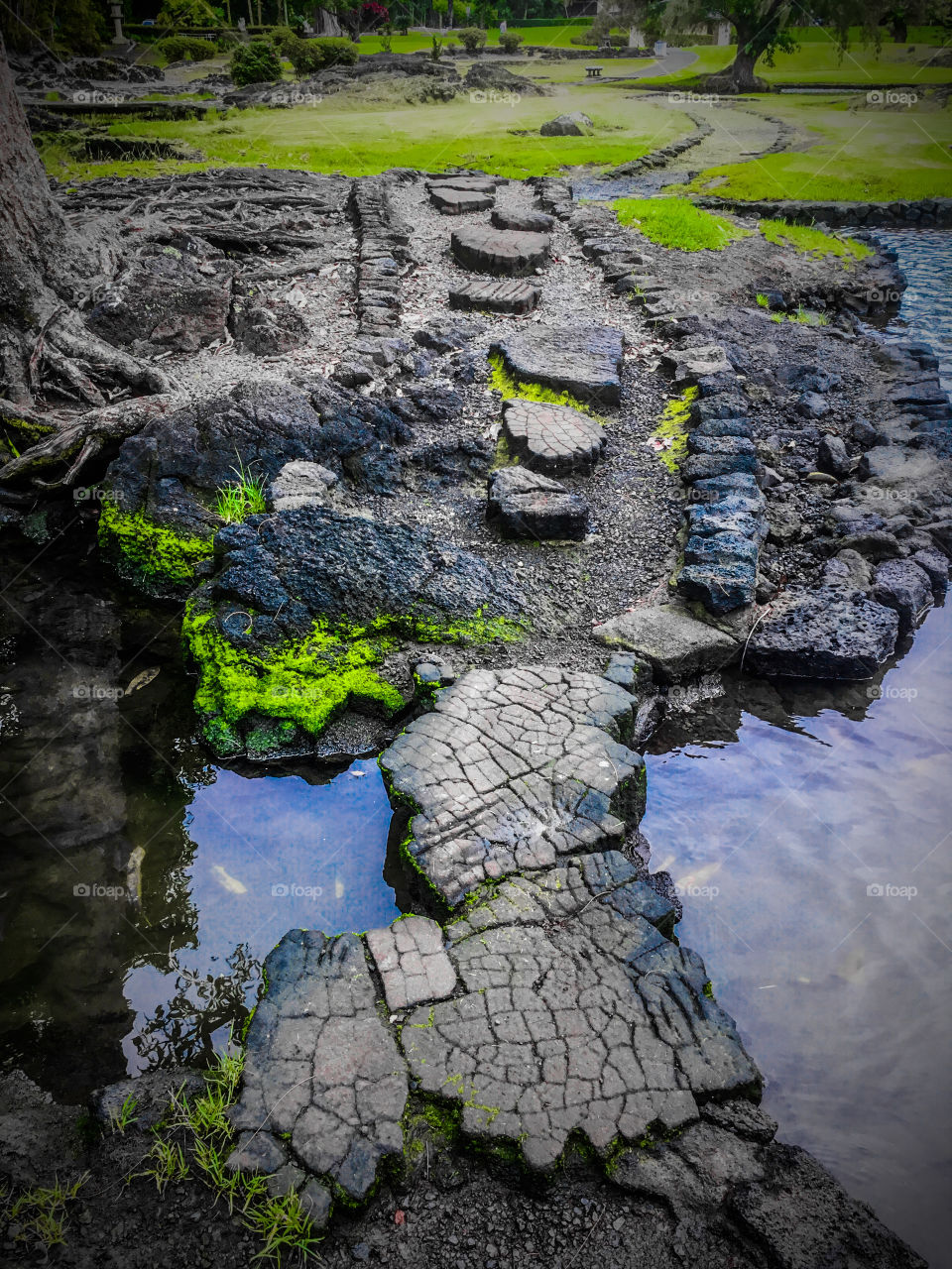 Walkway at Liliʻuokalani Park and Garden