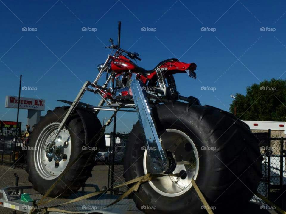 Fat-tired modified motorcycle.