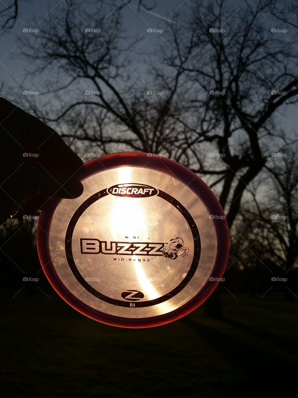 Sunset Disc Golf
