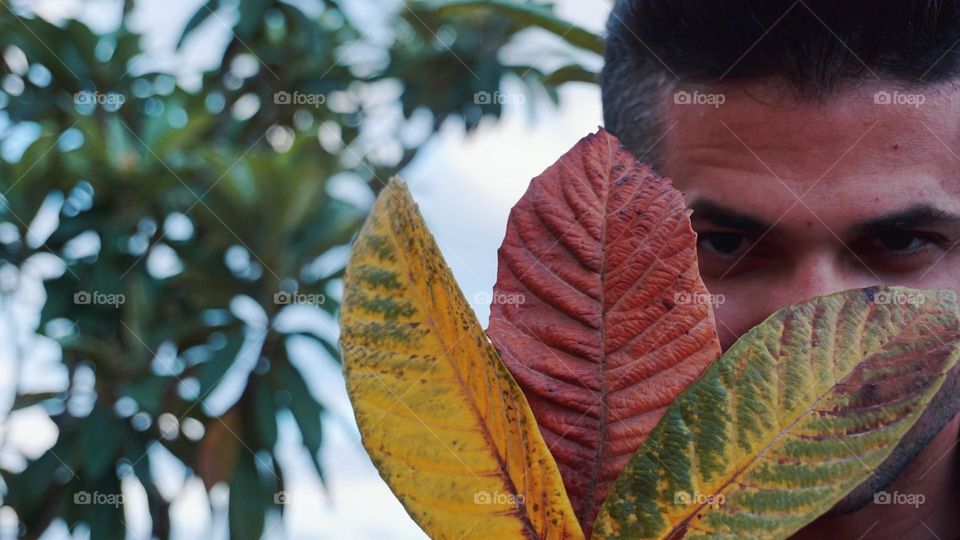 Autumn#leaves#colors#human