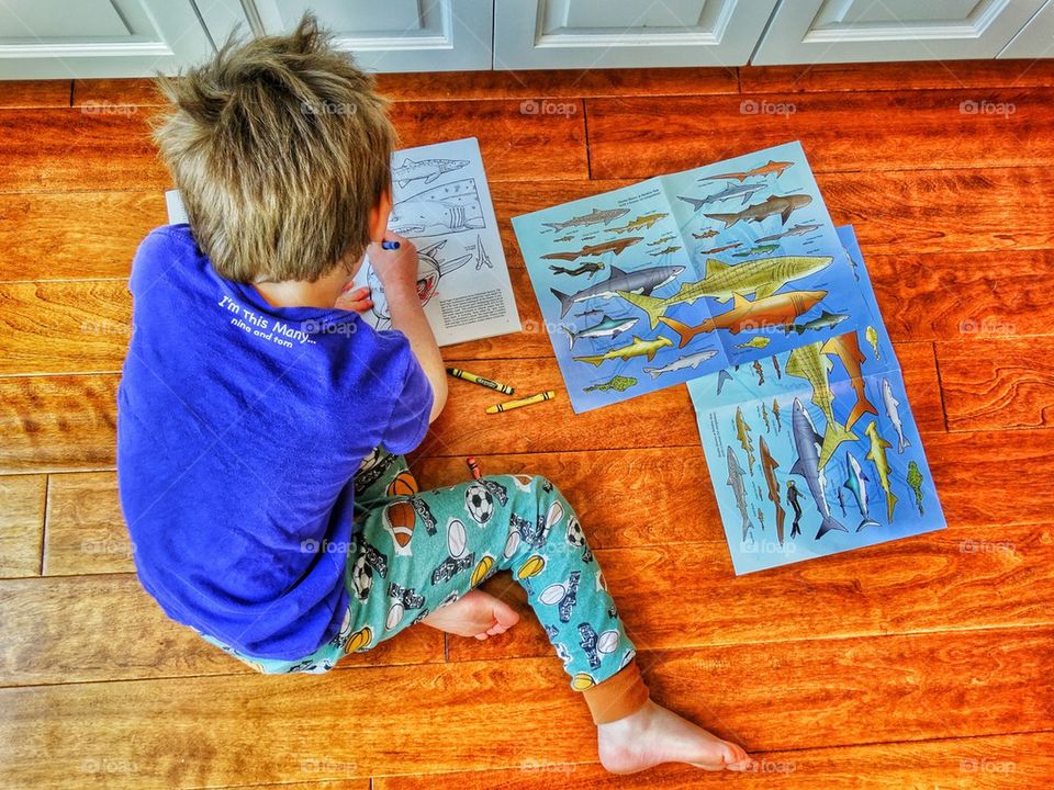 Young boy working on art project