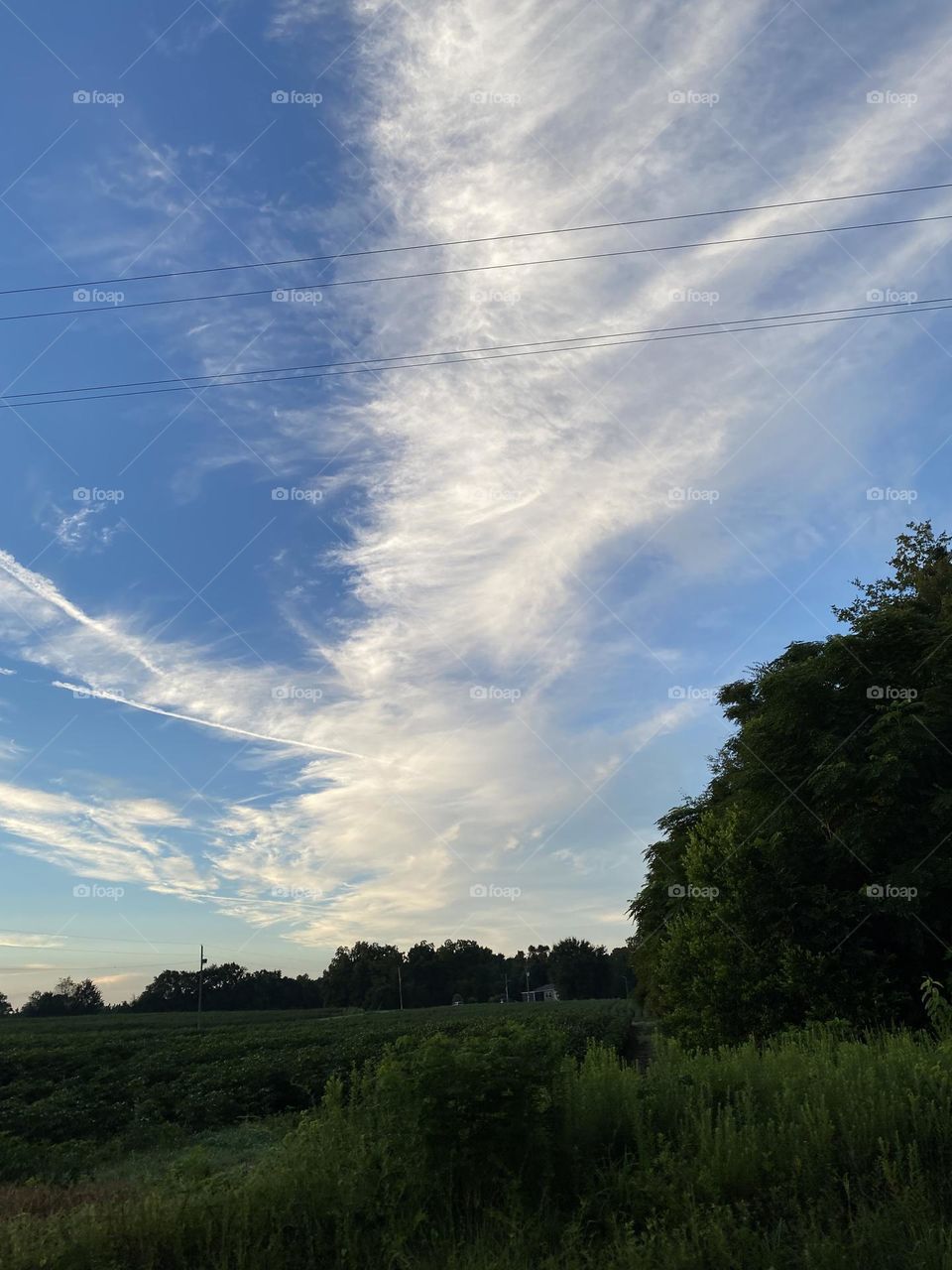 The beauty in the sky will leave you breathless 