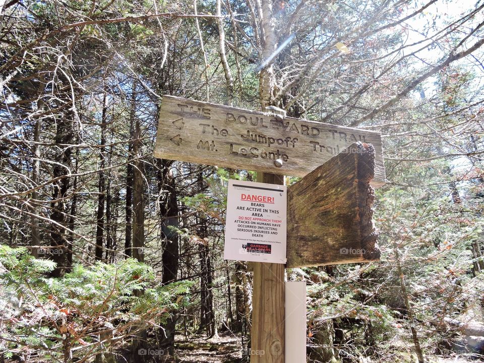 Bear warning sign in mountains