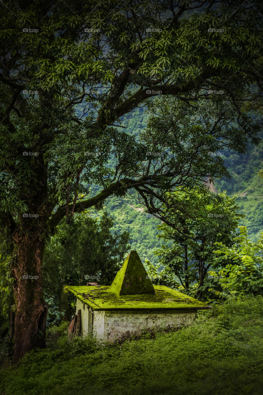 a temple in the nature..