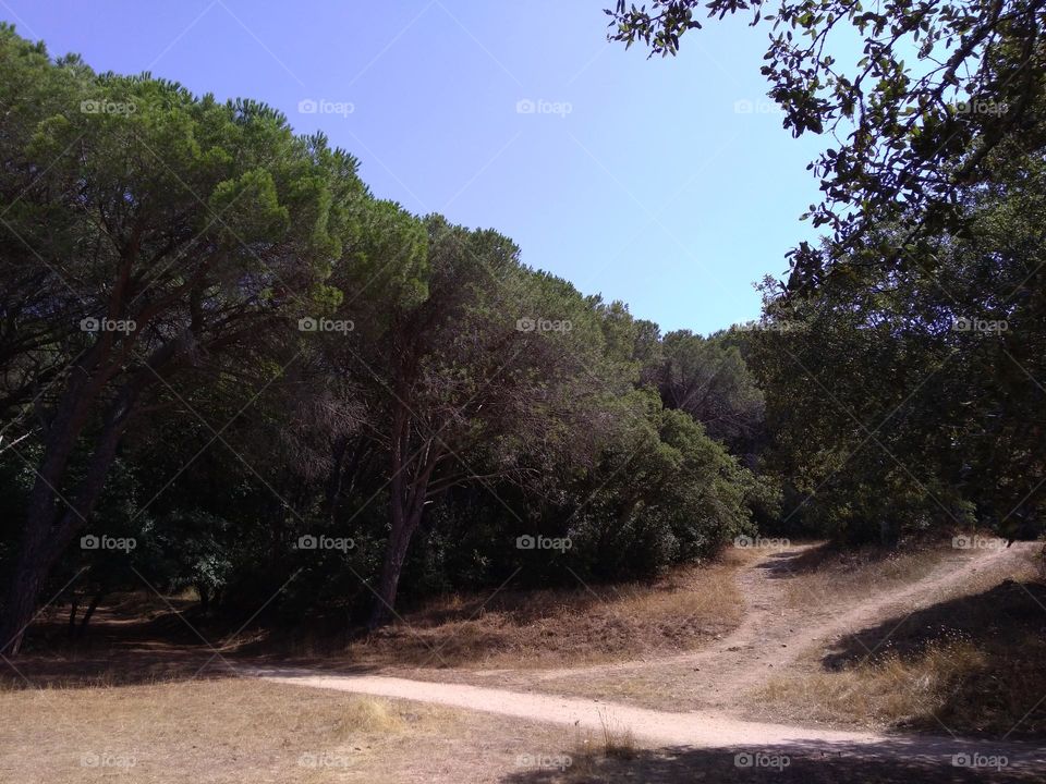 Best of 2021: Nature