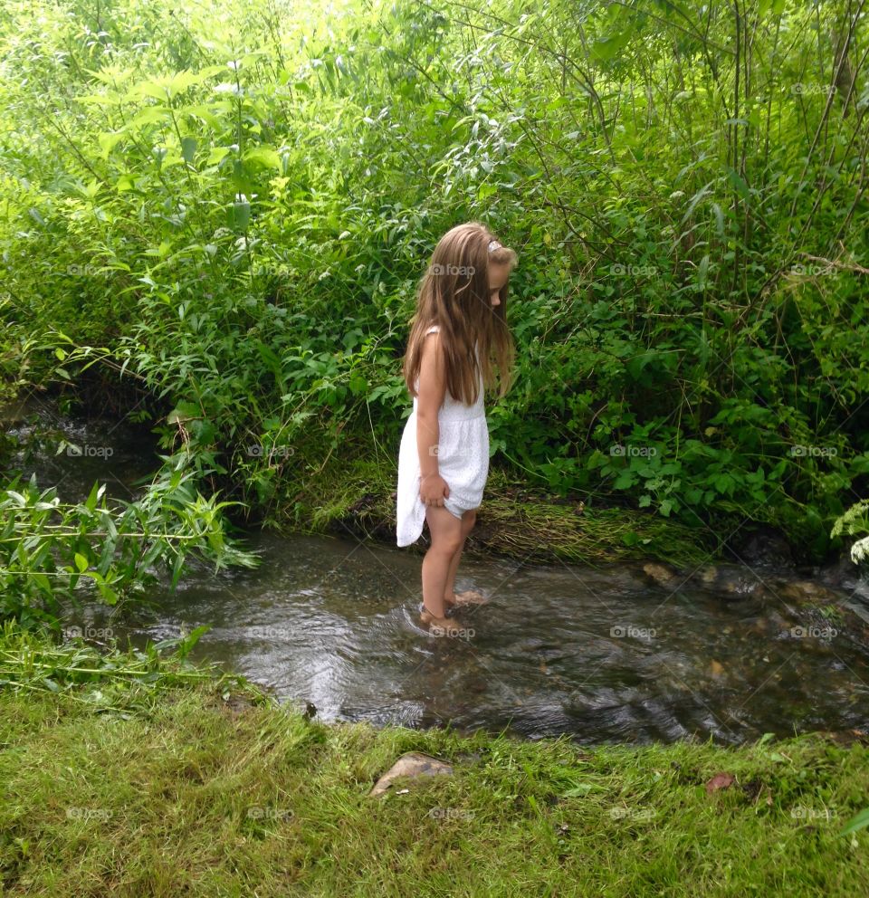 Wading in a  Stream. Woodstock, Vermont, Summer.
