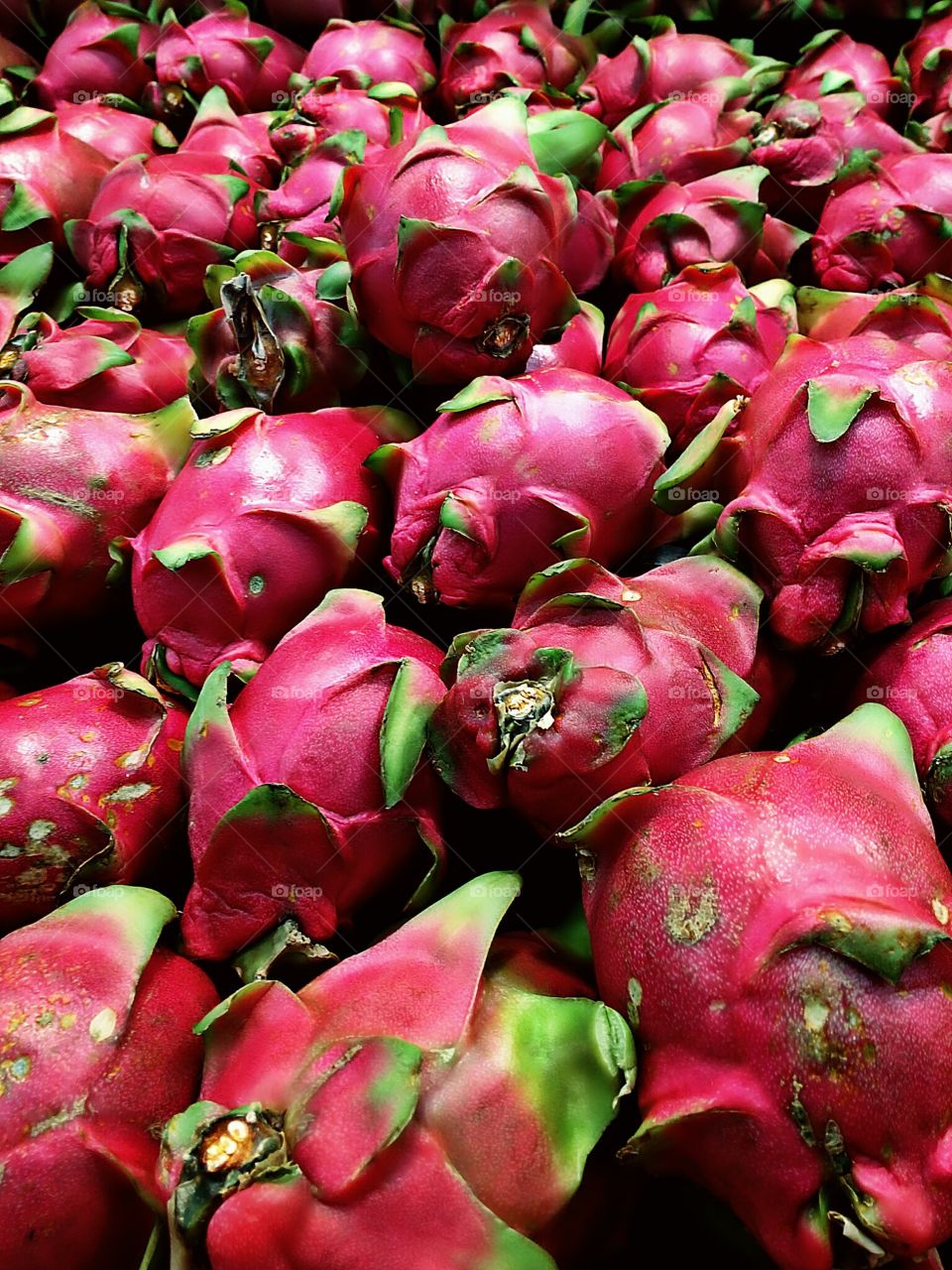 dragon fruit