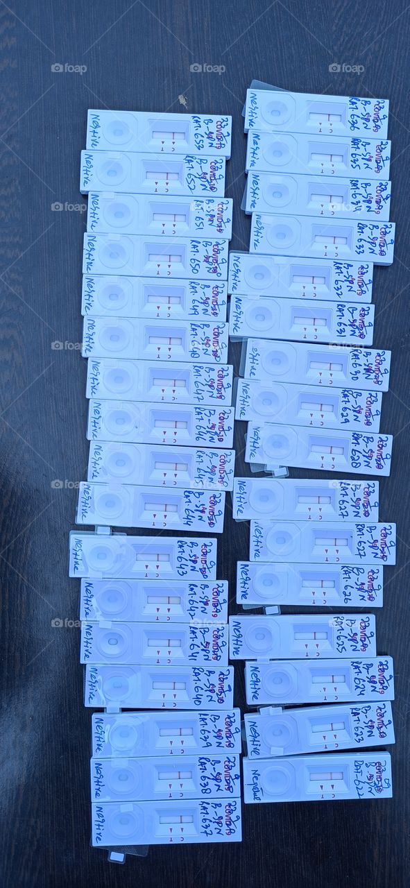 Random Antigen  Test  kits  of sampled  Employees  of Government Department in Shopian District In  Kashmir Valley  J&K India ... 
All tested  Negative for COVID-19  virus....