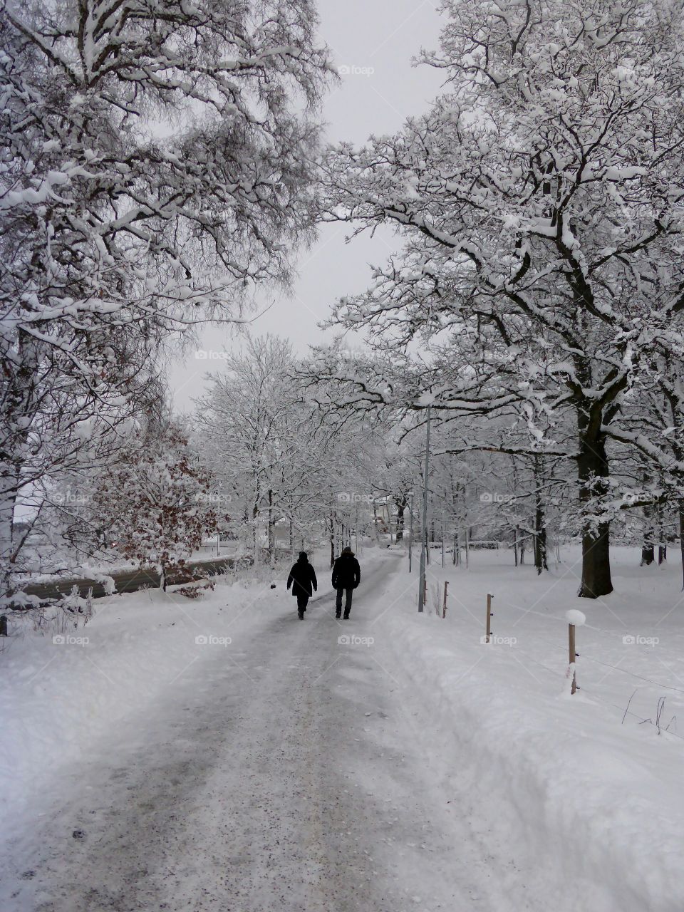 Taking a walk in the winter 