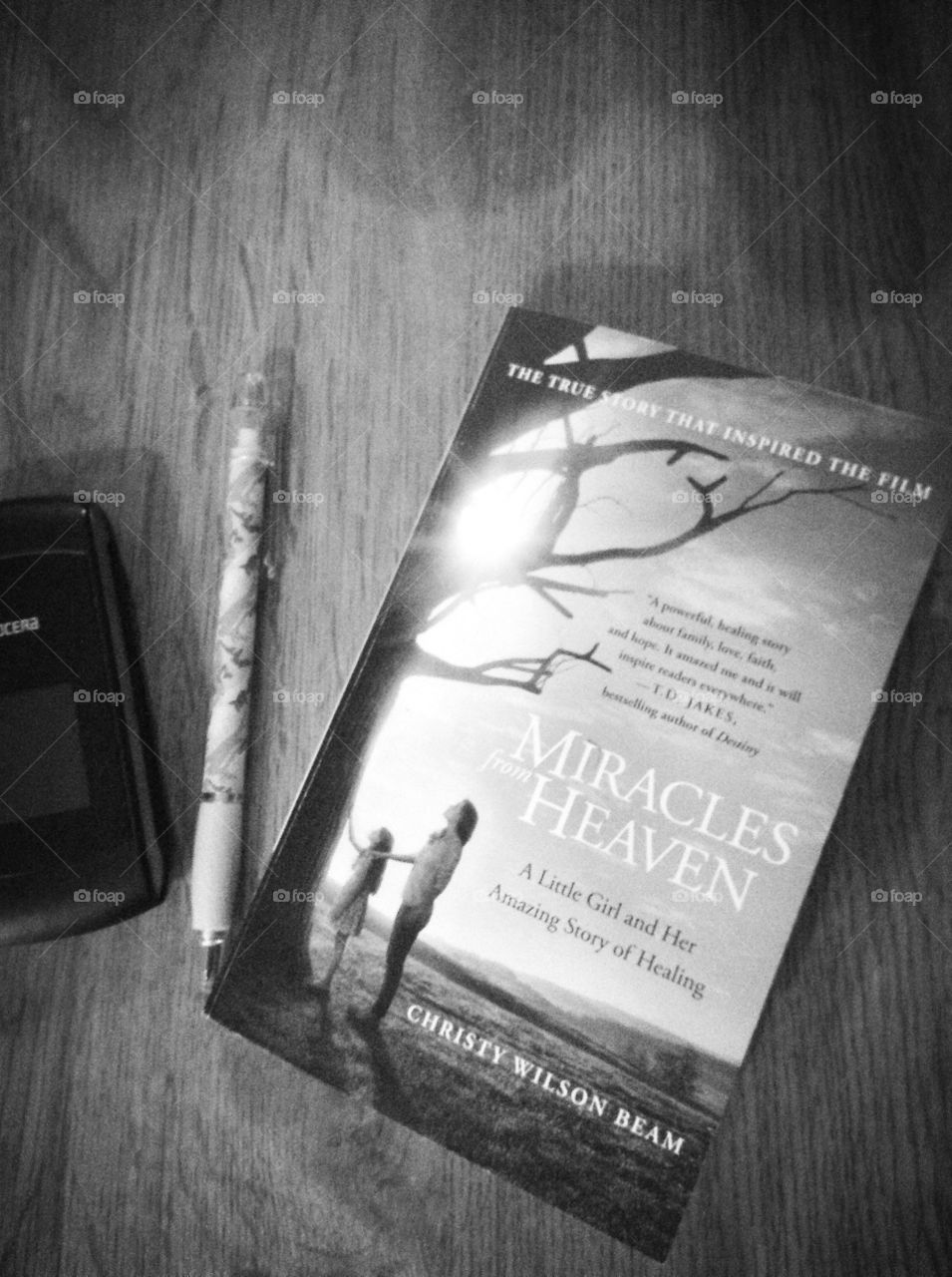 Miracles from heaven book