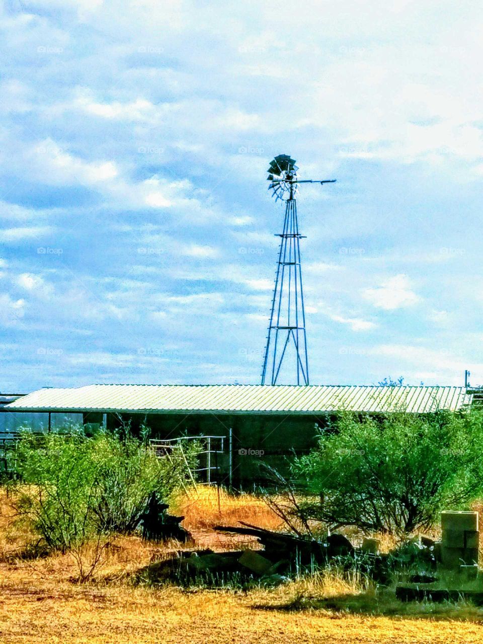 Arizona Windmill